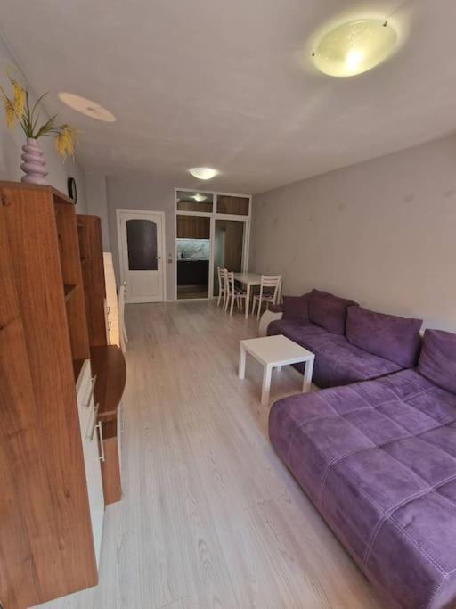 Cozy Central Apartment In Outskirts Of Old صوفيا المظهر الخارجي الصورة
